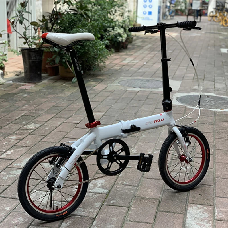 Single Speed Folding Bike
