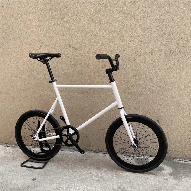 Daily Commuting Bicycle