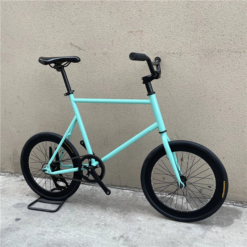 Daily Commuting Bicycle
