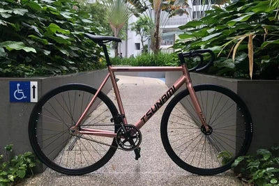 TSUNAMI SNM100 BICYCLE