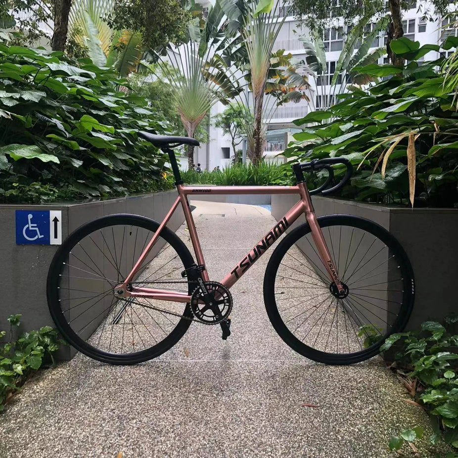 TSUNAMI SNM100 BICYCLE