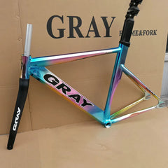 Gray Fixed Gear Frame Aluminum Alloy with Carbon Fiber Fork