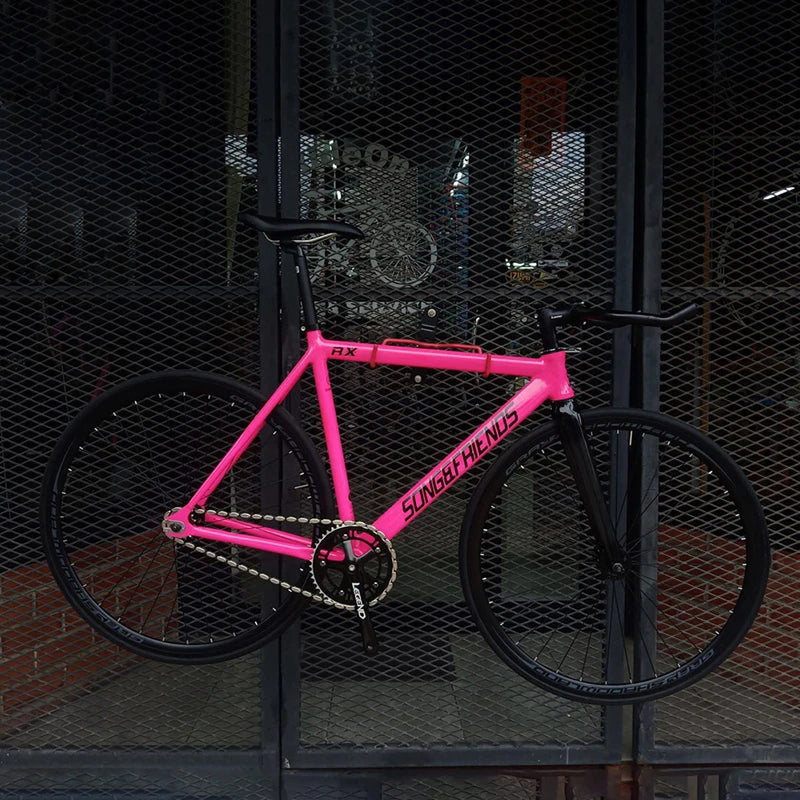 SONG&FRIENDS BICYCLE RX