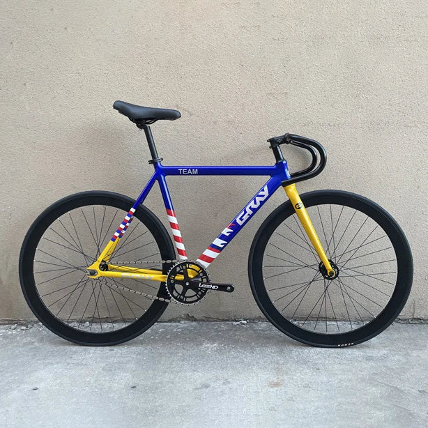 GRAY TEAM BICYCLE