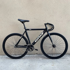 GRAY F10 BICYCLE